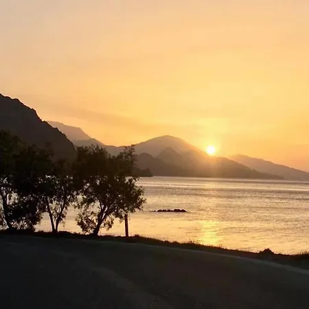 Golden Sun *