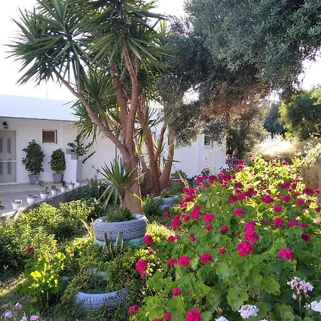 Appartement Golden Sun